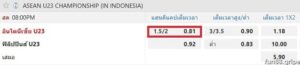ลูกครึ่ง ควบ 2 คือ คืออะไร? วิธีที่ง่ายที่สุดในการทำความเข้าใจ