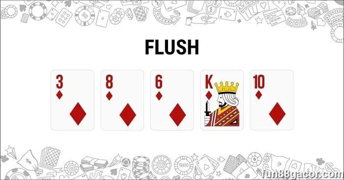 flush-card-05